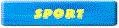 but1_sport.gif (2031 bytes)